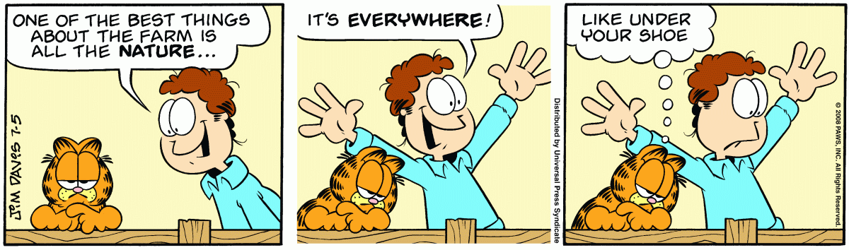 Garfield, July 5, 2008