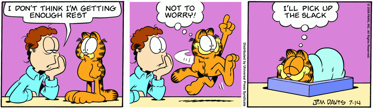 Garfield, July 14, 2008