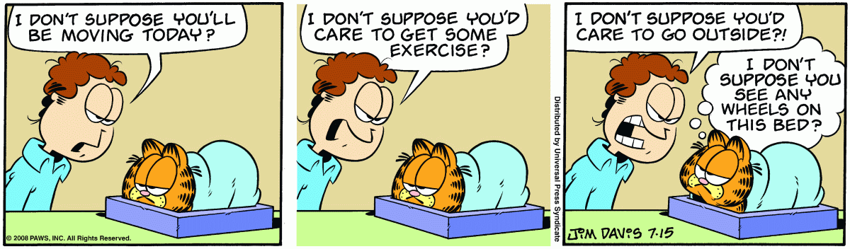Garfield, July 15, 2008