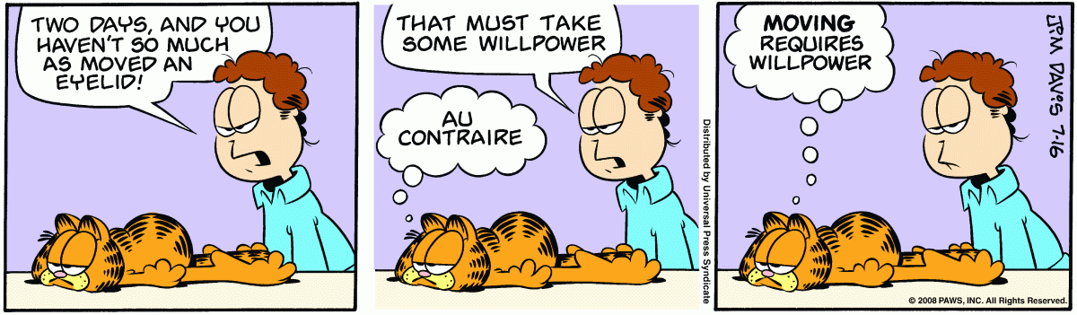 Garfield, July 16, 2008