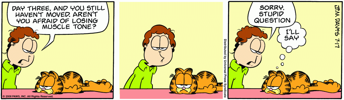 Garfield, July 17, 2008