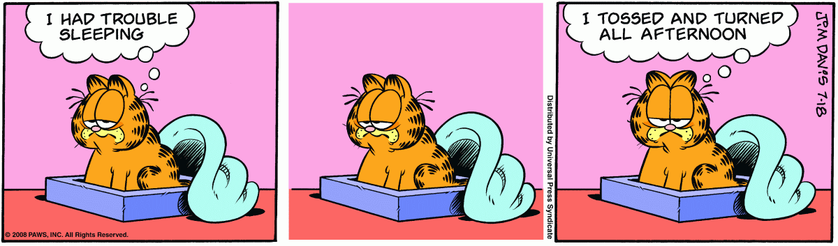 Garfield, July 18, 2008