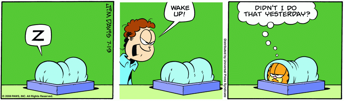 Garfield, July 19, 2008
