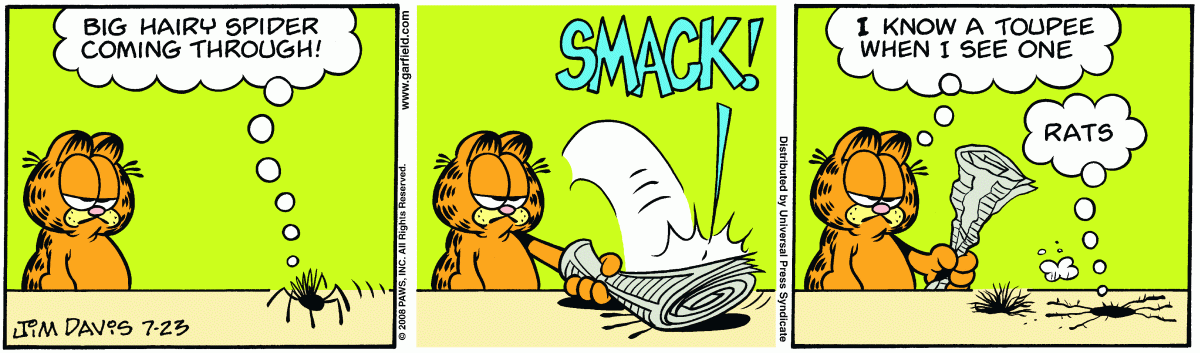 Garfield, July 23, 2008