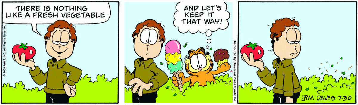 Garfield, July 30, 2008