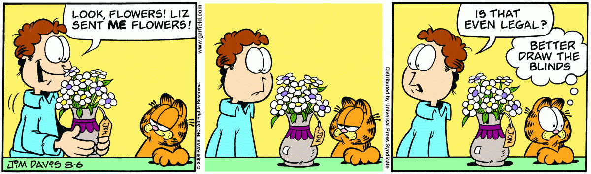Garfield, August 6, 2008