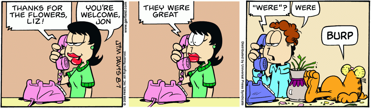 Garfield, August 7, 2008
