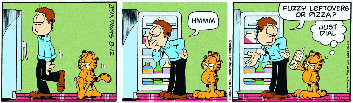 Garfield, August 12, 2008
