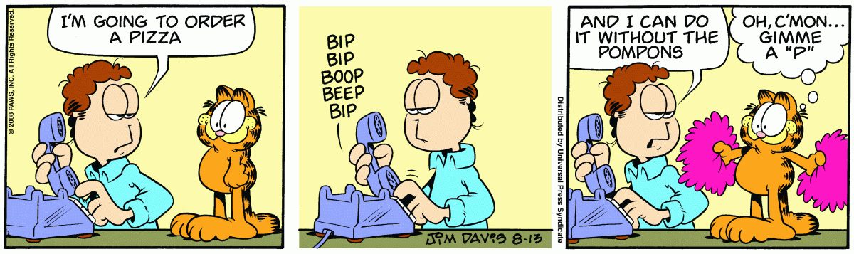 Garfield, August 13, 2008