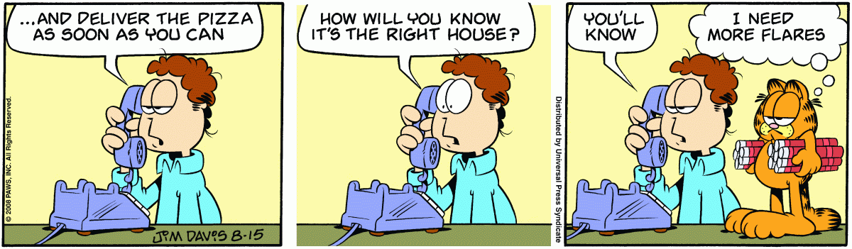 Garfield, August 15, 2008
