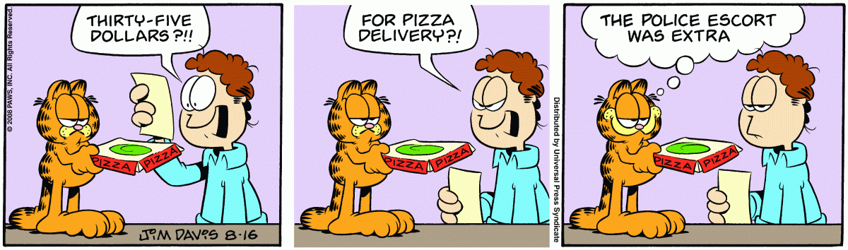 Garfield, August 16, 2008