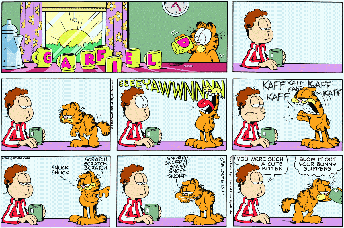 Garfield, August 17, 2008