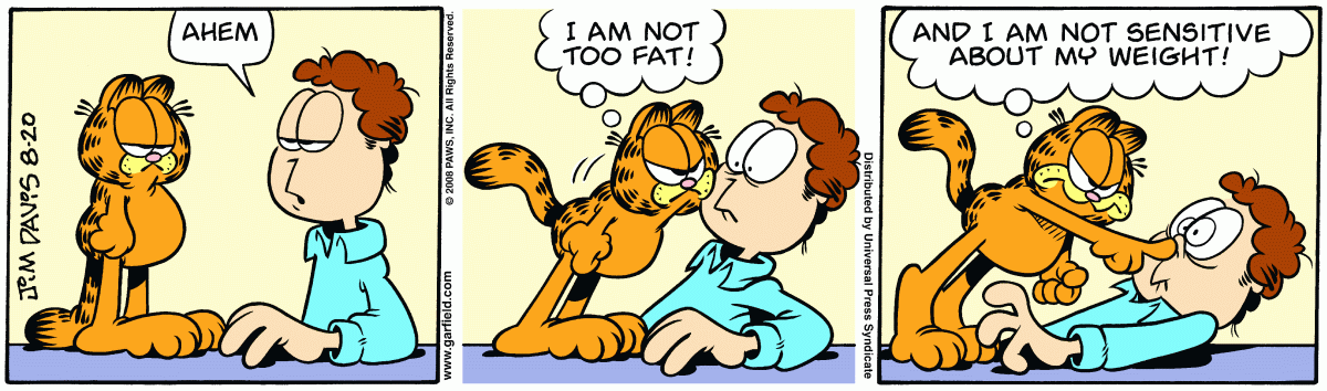 Garfield, August 20, 2008