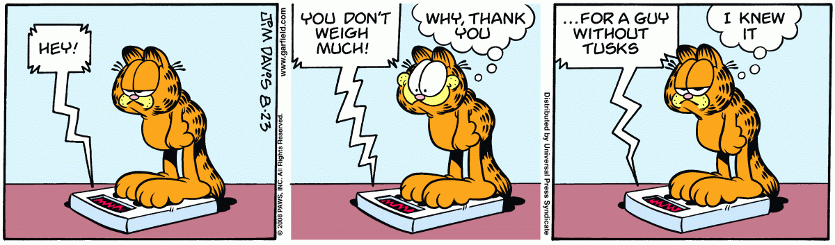 Garfield, August 23, 2008