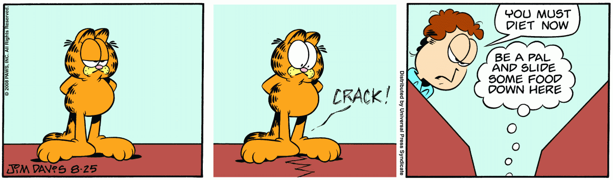 Garfield, August 25, 2008