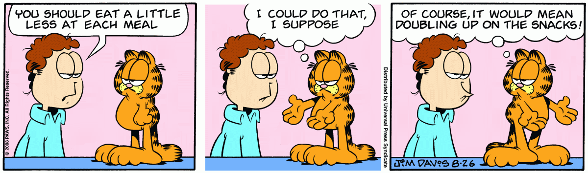 Garfield, August 26, 2008