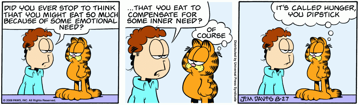 Garfield, August 27, 2008