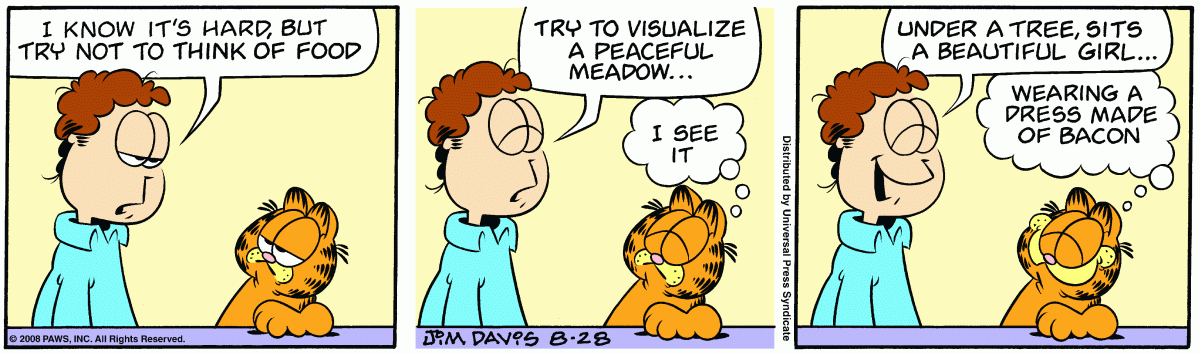 Garfield, August 28, 2008