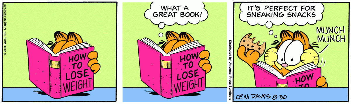 Garfield, August 30, 2008