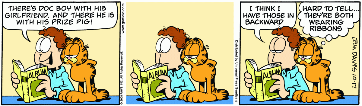 Garfield, October 17, 2008