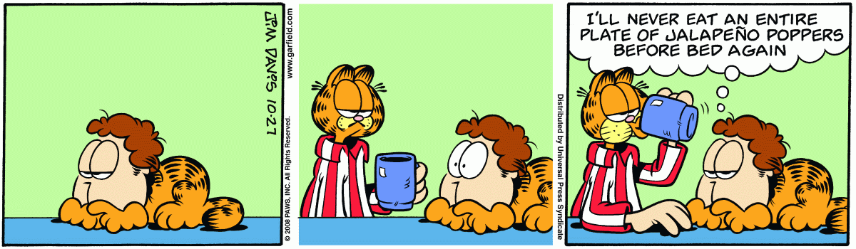 Garfield, October 27, 2008