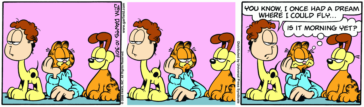 Garfield, October 30, 2008