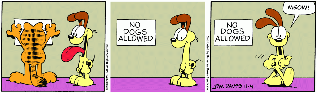 Garfield, November 4, 2008