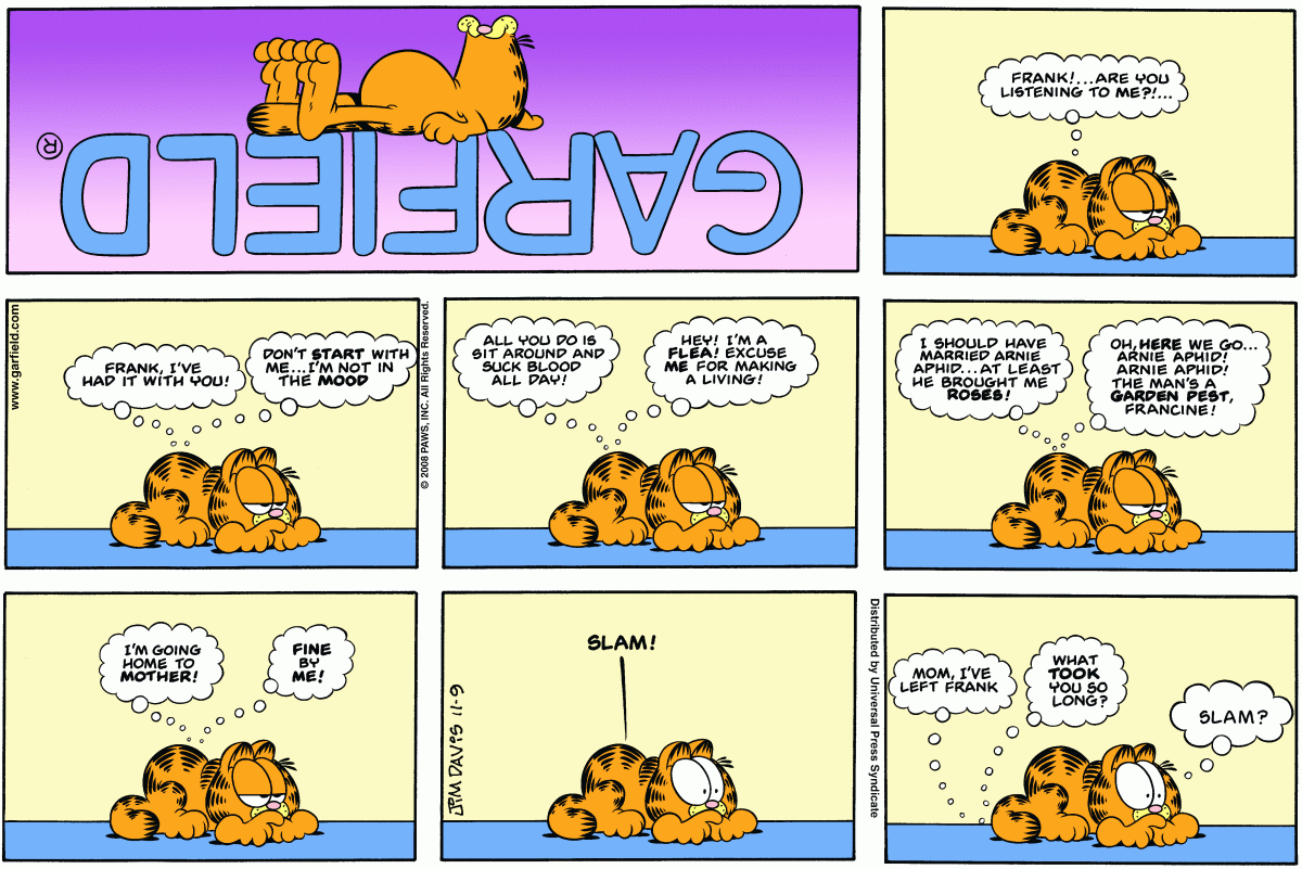 Garfield, November 9, 2008