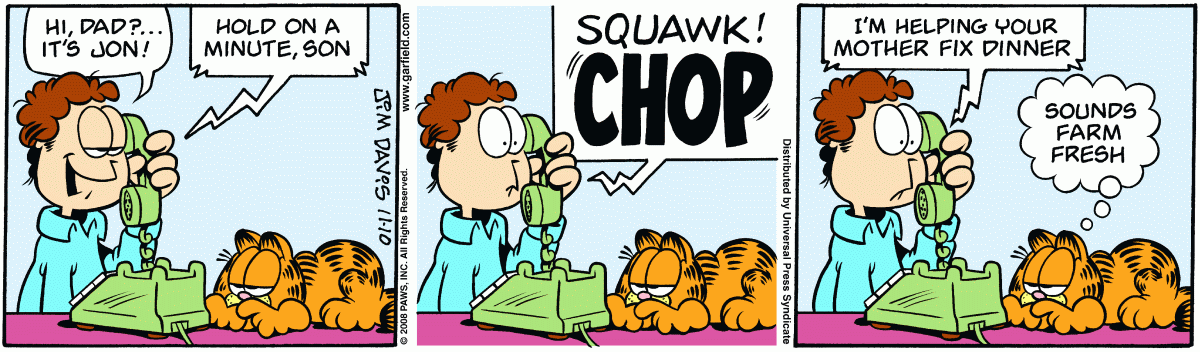 Garfield, November 10, 2008