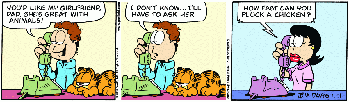 Garfield, November 11, 2008