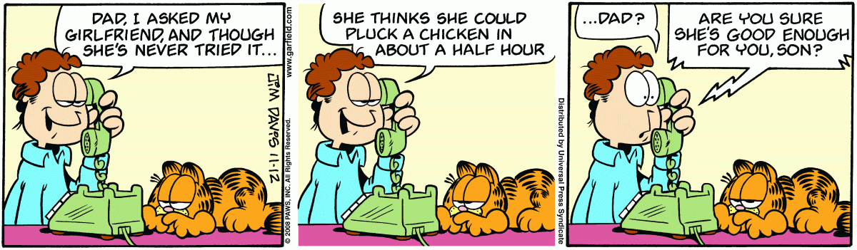 Garfield, November 12, 2008