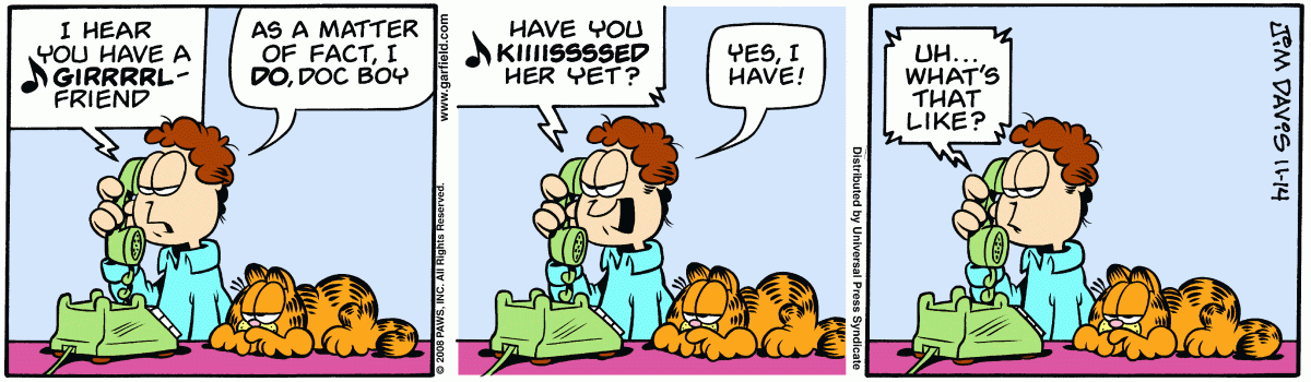 Garfield, November 14, 2008