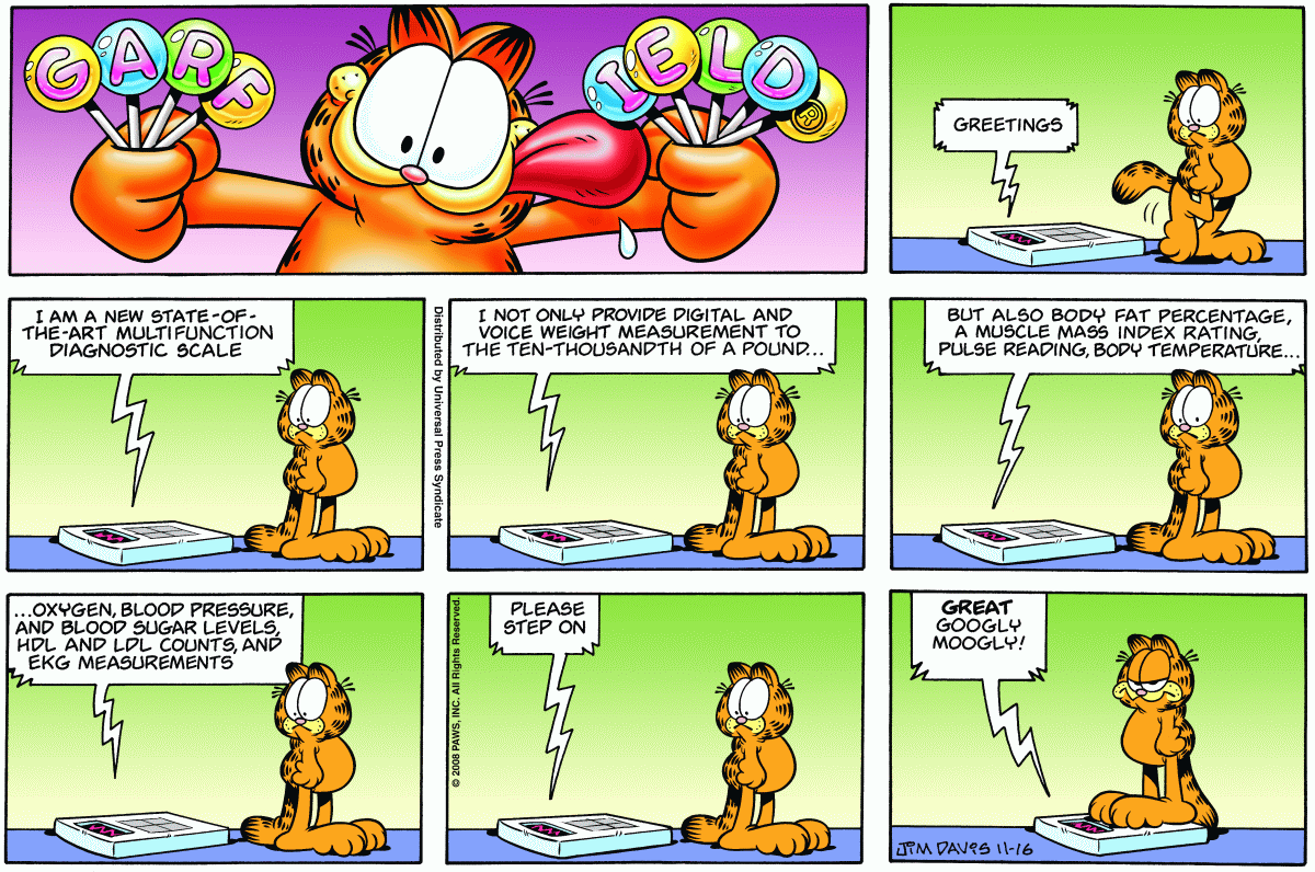 Garfield, November 16, 2008
