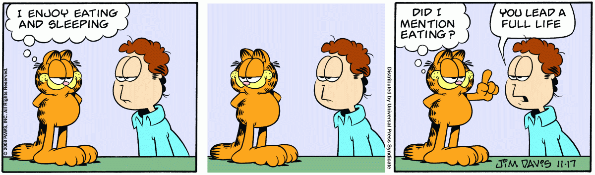 Garfield, November 17, 2008