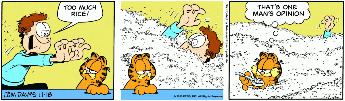 Garfield, November 18, 2008