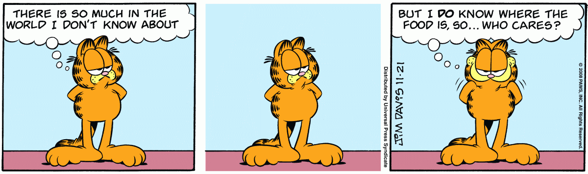 Garfield, November 21, 2008