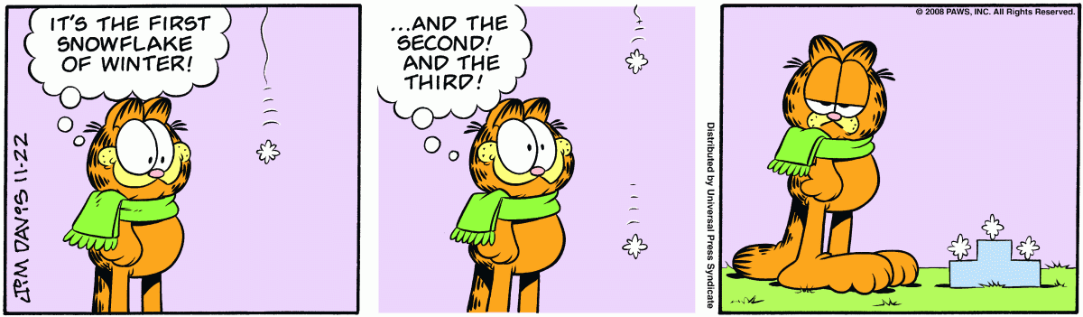 Garfield, November 22, 2008