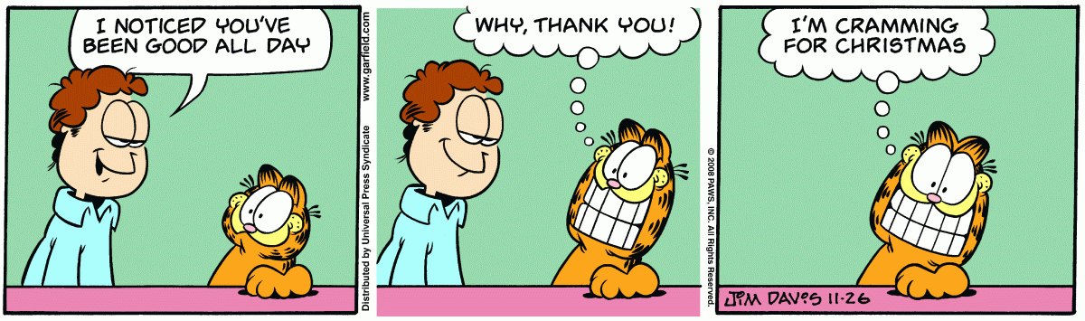 Garfield, November 26, 2008