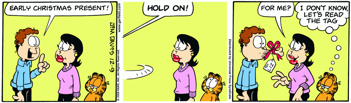 Garfield, December 9, 2008