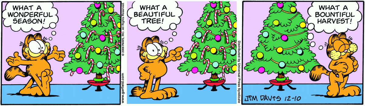 Garfield, December 10, 2008