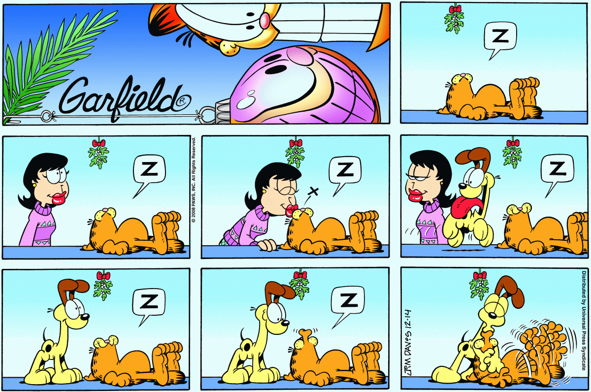 Garfield, December 14, 2008