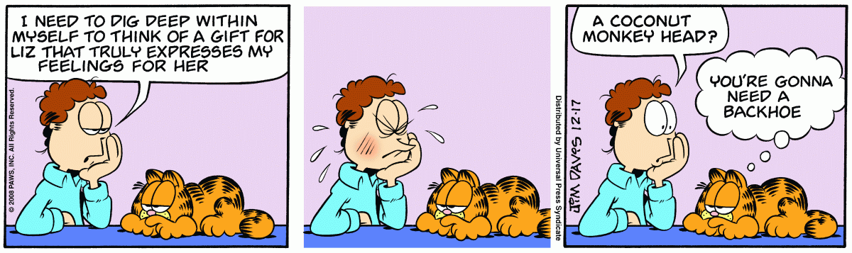 Garfield, December 17, 2008