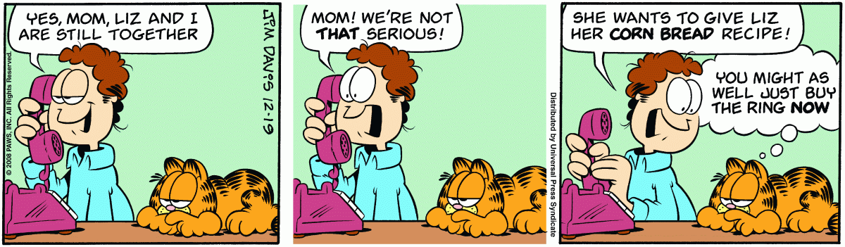 Garfield, December 19, 2008