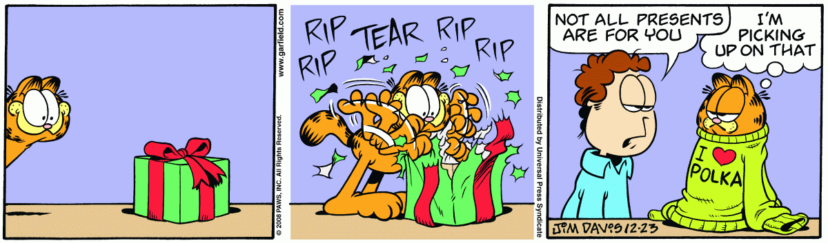 Garfield, December 23, 2008