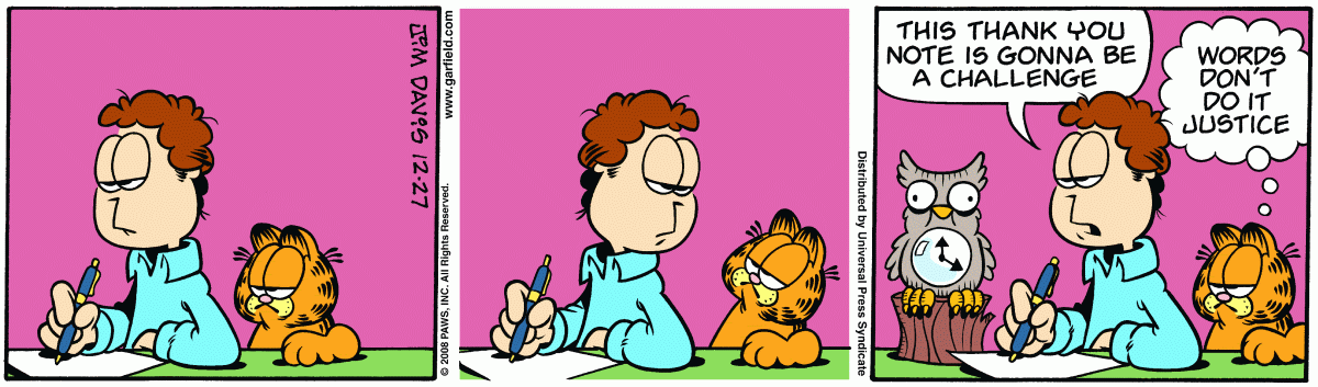 Garfield, December 27, 2008