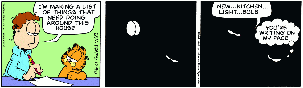 Garfield, December 30, 2008