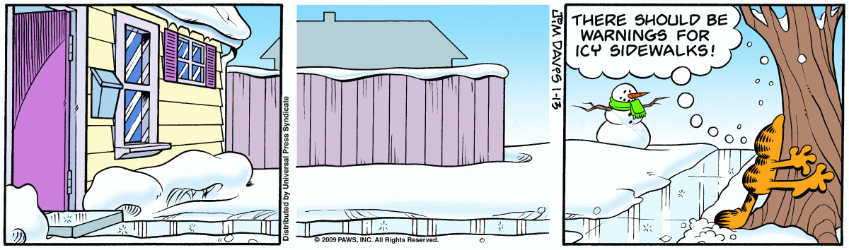 Garfield, January 13, 2009