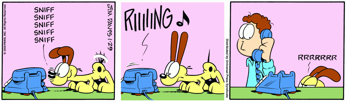 Garfield, January 29, 2009