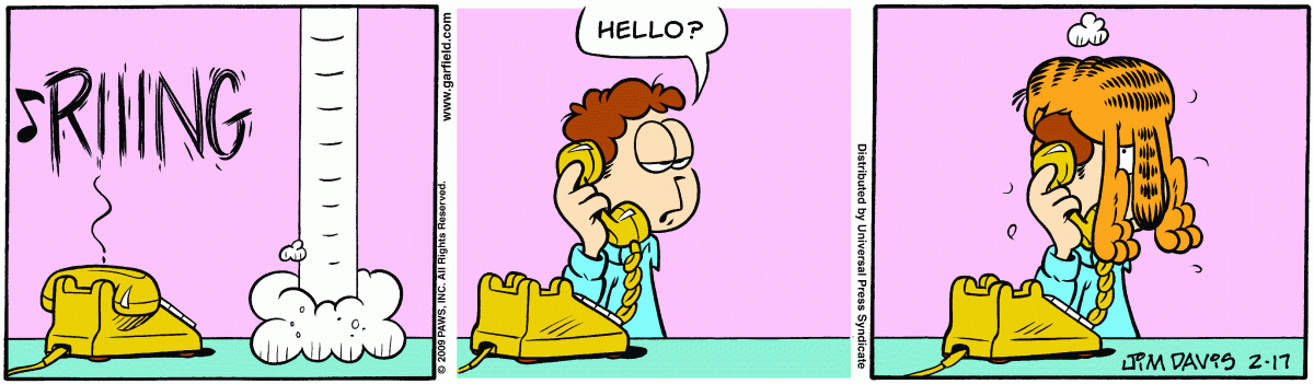 Garfield, February 17, 2009