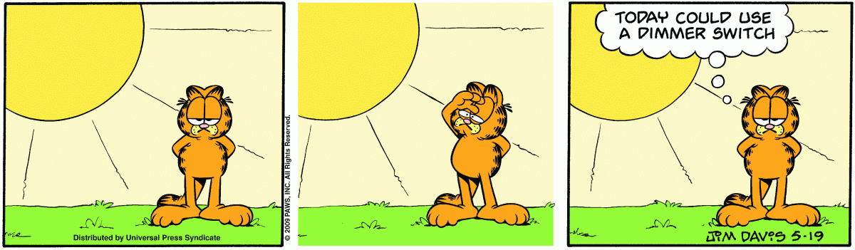 Garfield, May 19, 2009